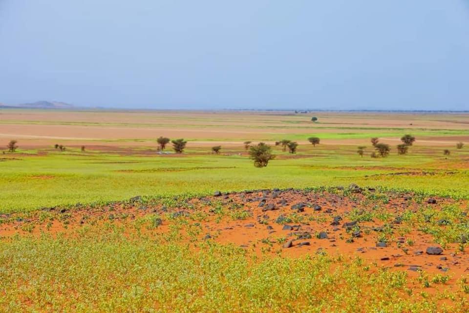 Auberge Dinosaur Kem Kem Tafraoute Sidi Ali Exterior foto