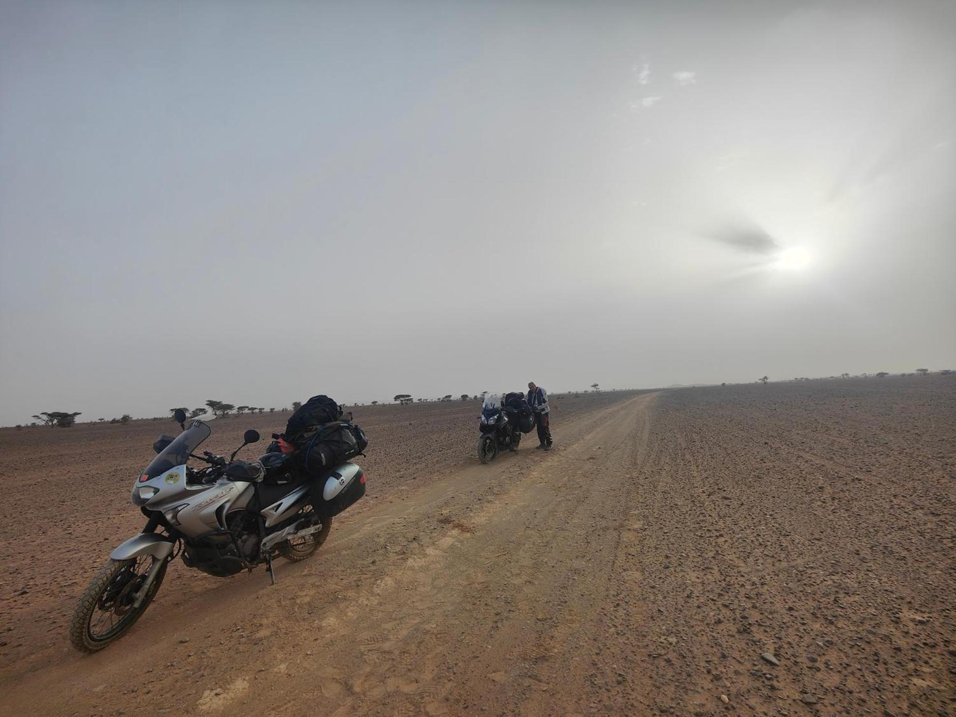 Auberge Dinosaur Kem Kem Tafraoute Sidi Ali Exterior foto